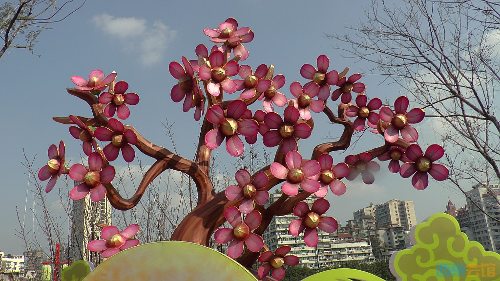 conew_s1570243.jpg