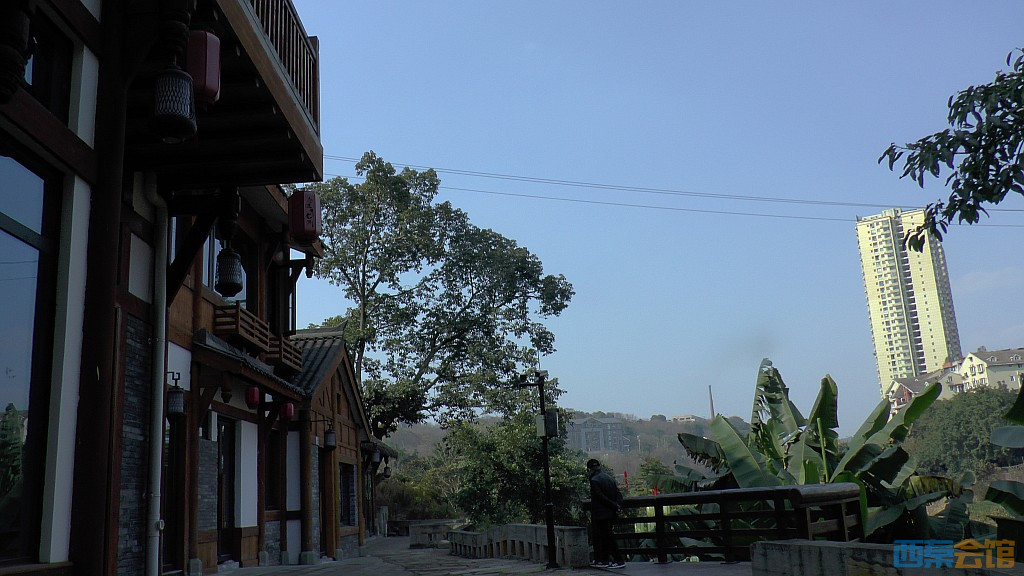 conew_s1570247.jpg
