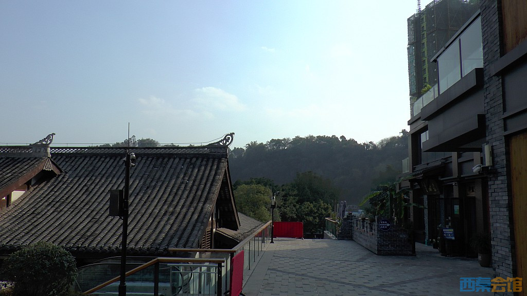 conew_s1570268.jpg