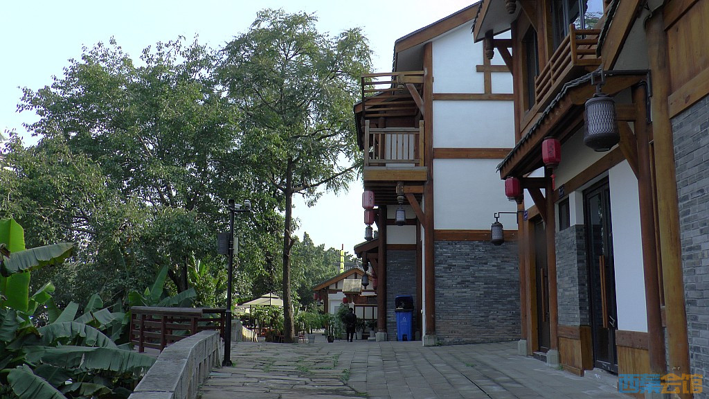 conew_s1570249.jpg