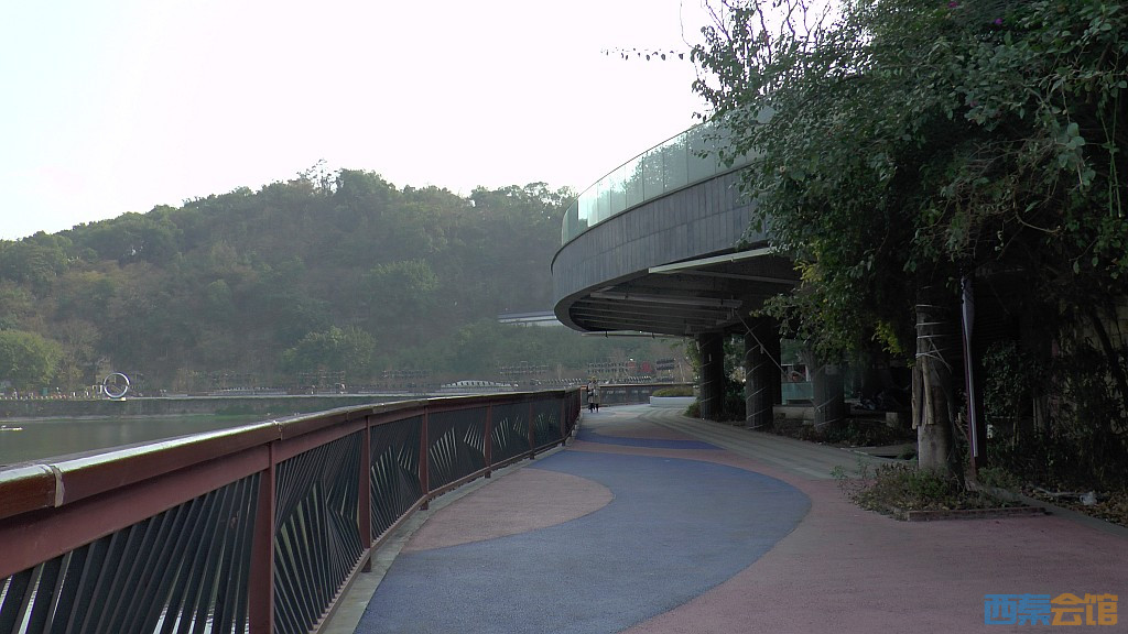 conew_s1570271.jpg