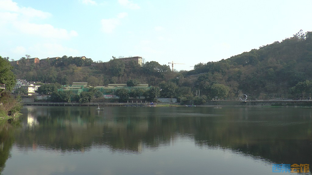 conew_s1570270.jpg