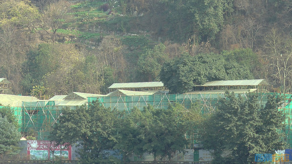 conew_s1570278.jpg