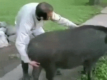 20230122040959front2_0_332895_FrV_BKpQAheG7xYNMKKQ1l7ceXVY.gif