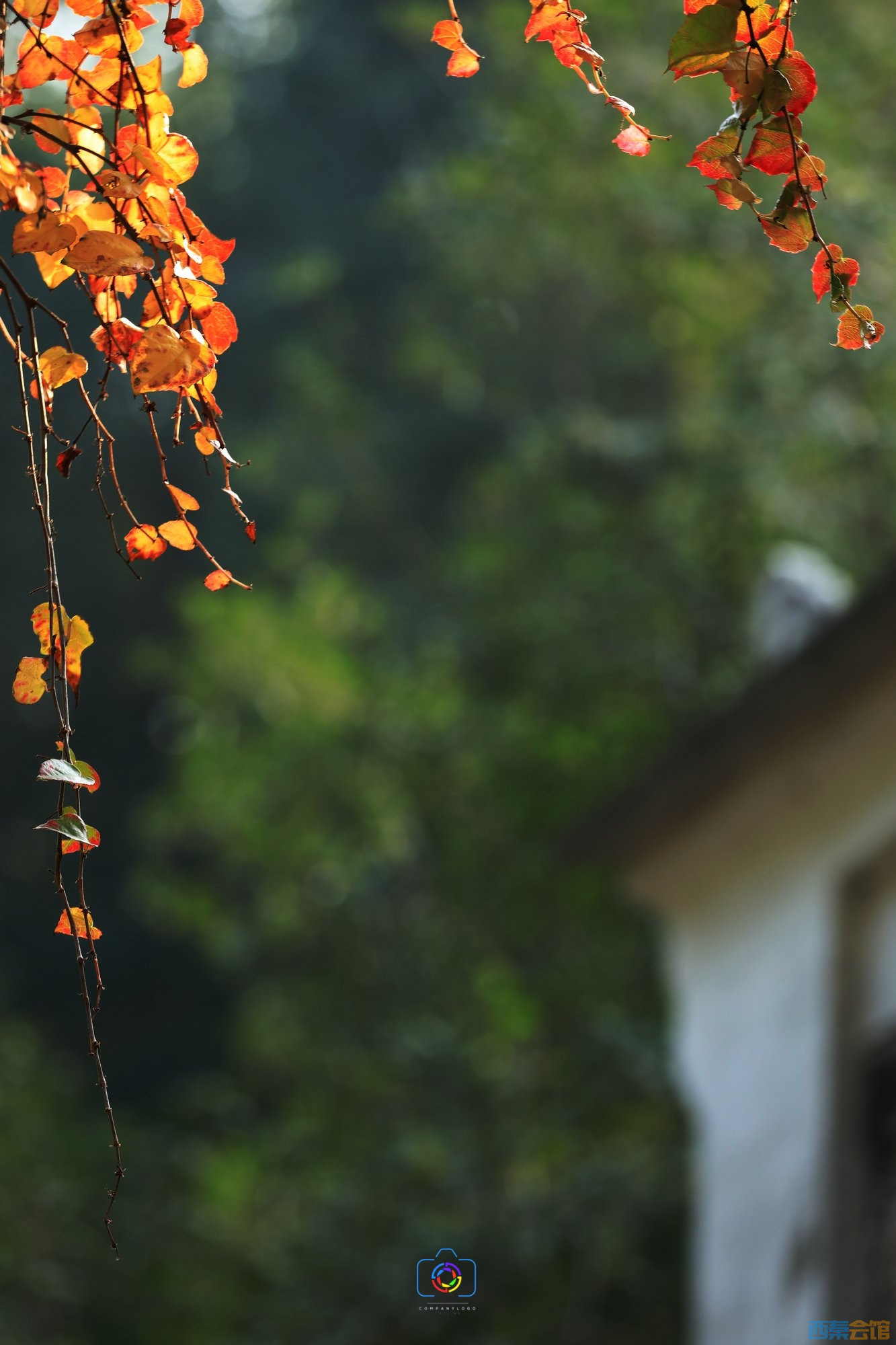 678678-4S4A8718544554-�ѱ༭.jpg