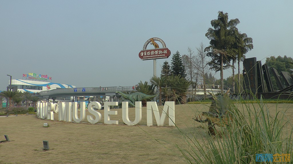 conew_s1570296.jpg