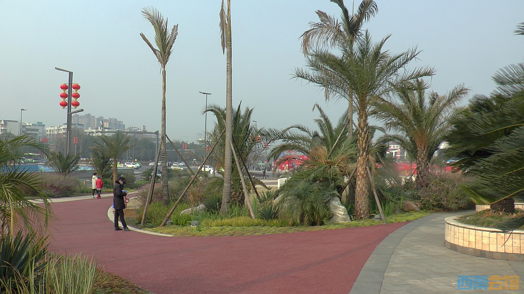 conew_s1570303.jpg