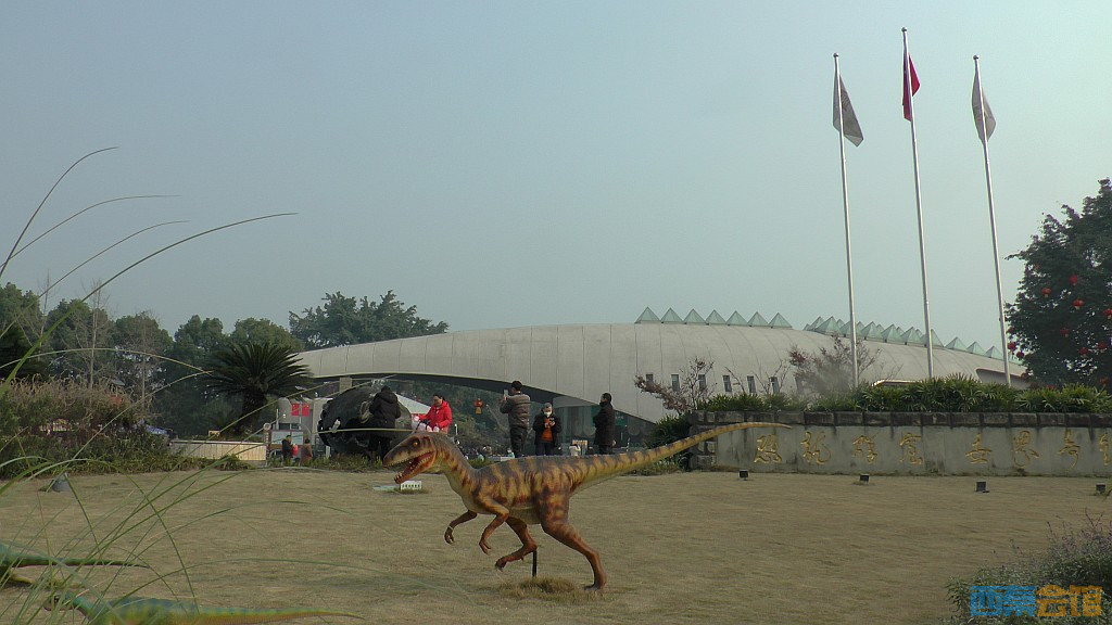 conew_s1570298.jpg