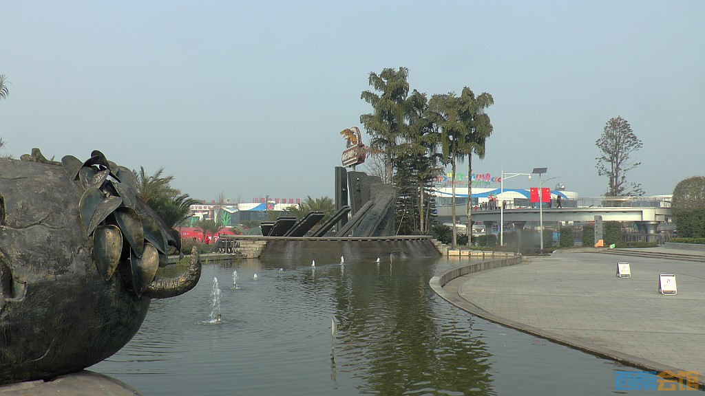 conew_s1570305.jpg