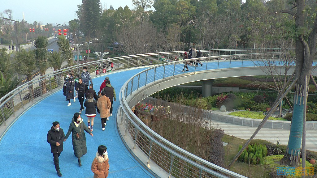 conew_s1570309.jpg