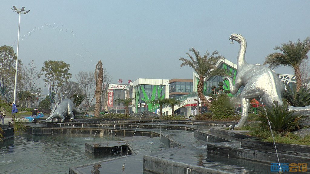 conew_s1570319.jpg