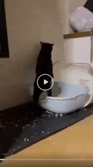 220538xraqfeba8r7rq6fr.gif