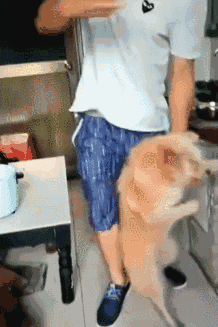 131847fz8jt9f5lw551t6l.gif