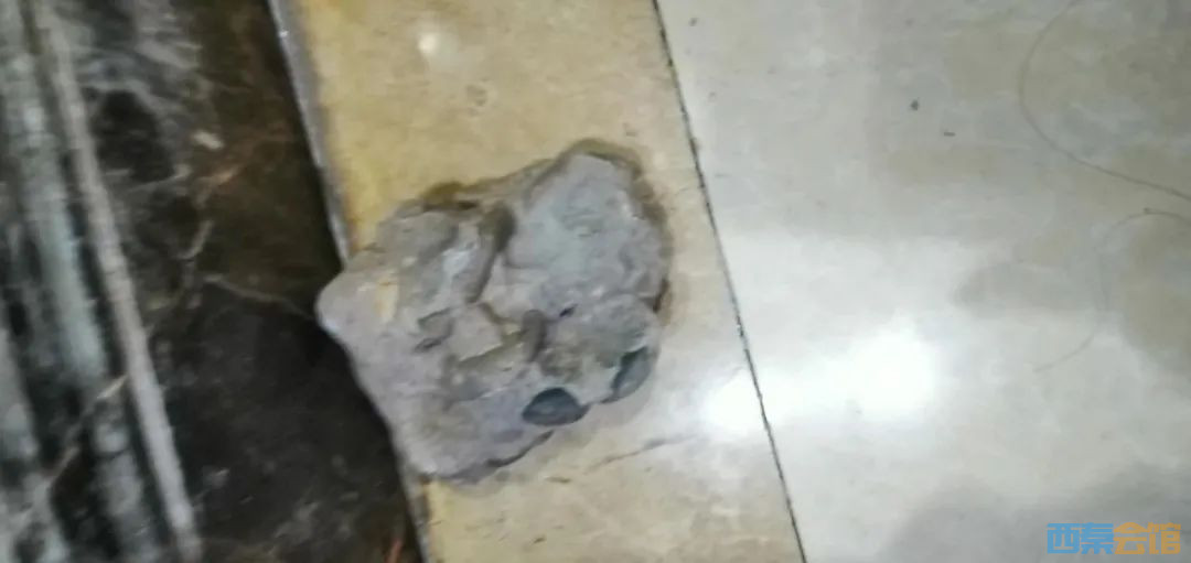 ΢��ͼƬ_20230203154003.jpg