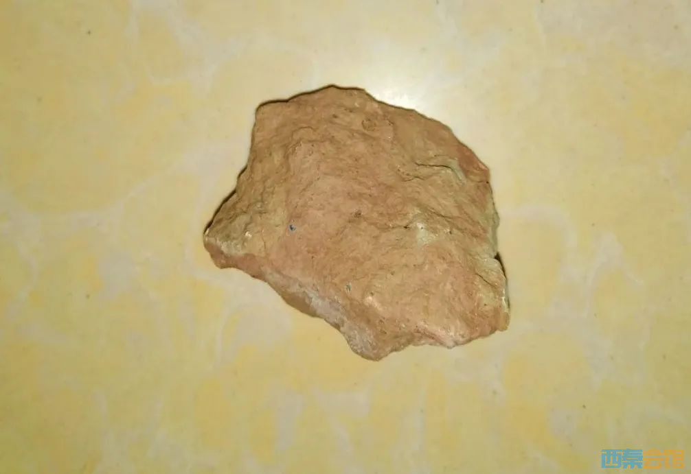 ΢��ͼƬ_20230203154006.jpg