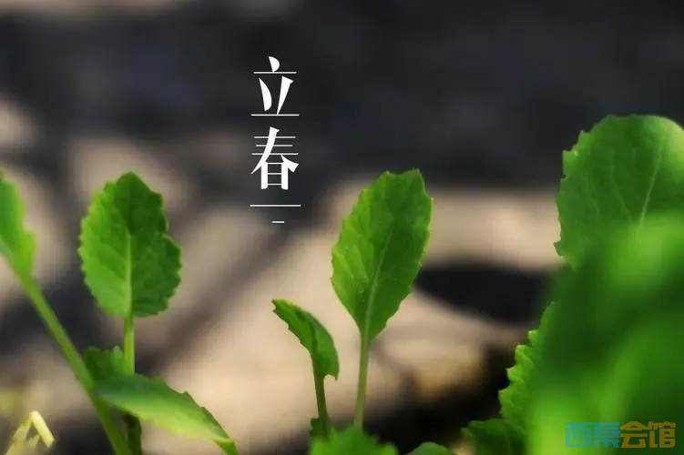 u=2331501952,939837430&amp;fm=253&amp;fmt=auto&amp;app=120&amp;f=JPEG.webp.jpg