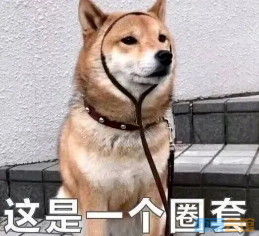 18.png