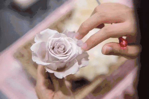 4.gif