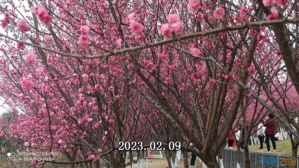 conew_snapshot(73).jpg