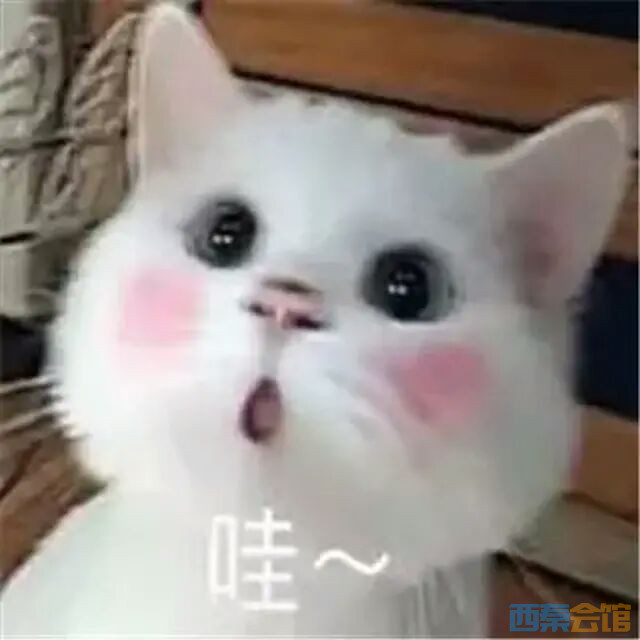 20230211073820front2_0_1767688_Fr3Iq3dyscwZFesbh3DPpVzwG8Jq.jpg