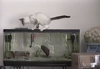 20230211094824front2_0_332895_Fvs9gIMhELH997VDOGOccx0WYLiU.gif