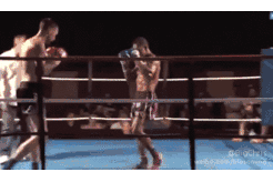 232856lusikuo7f417j2op.gif