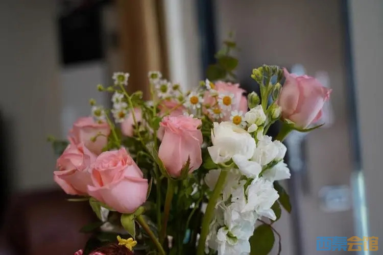 u=4257360834,1291081609&amp;fm=253&amp;fmt=auto&amp;app=138&amp;f=JPEG.webp.jpg