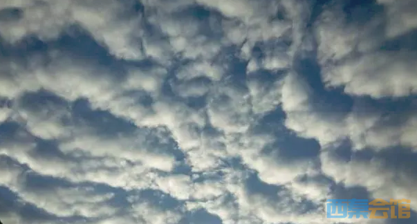 ΢�Ž�ͼ_20230214100418.png