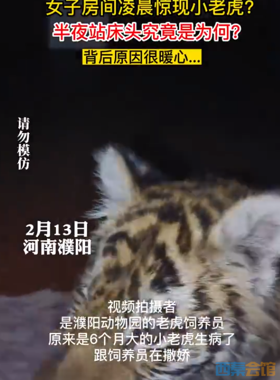 ΢�Ž�ͼ_20230214133845.png