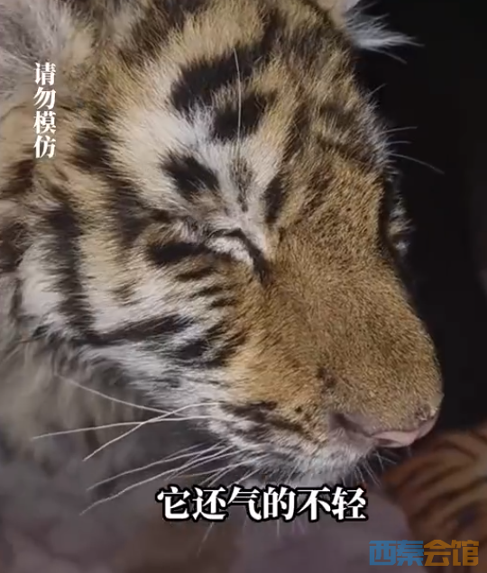 ΢�Ž�ͼ_20230214133858.png