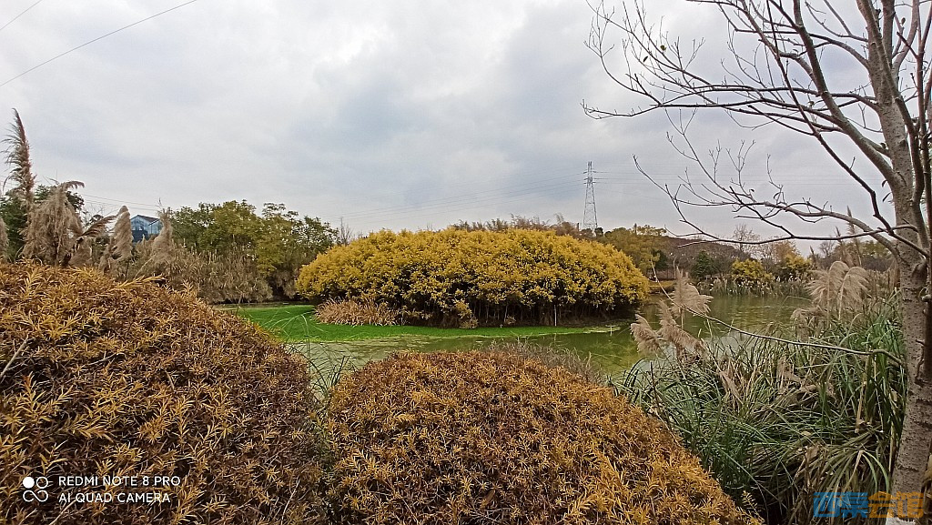 conew_1676369848928.jpg