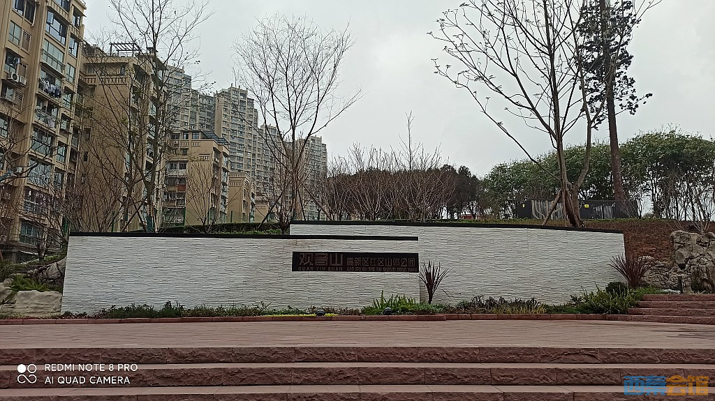 conew_1676521713988.jpg