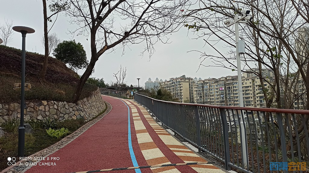 conew_1676521713757.jpg