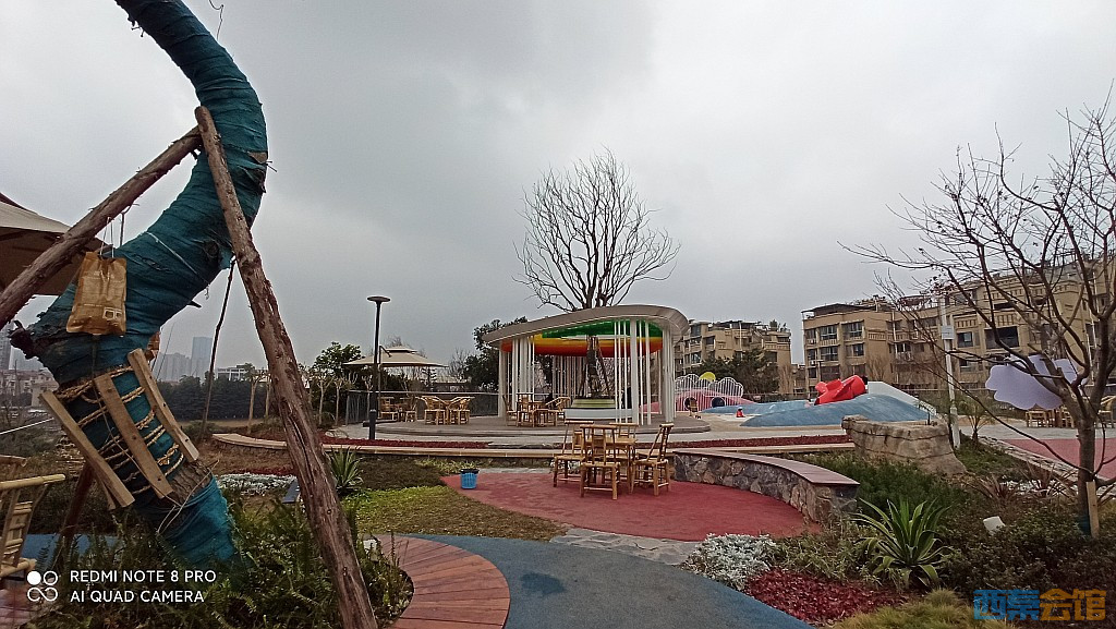 conew_1676521713677.jpg