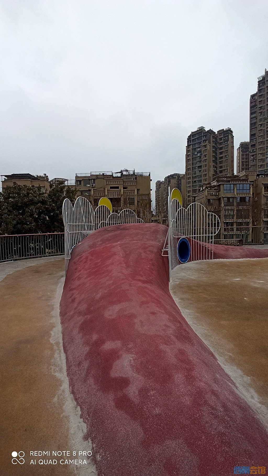 conew_1676521713597.jpg
