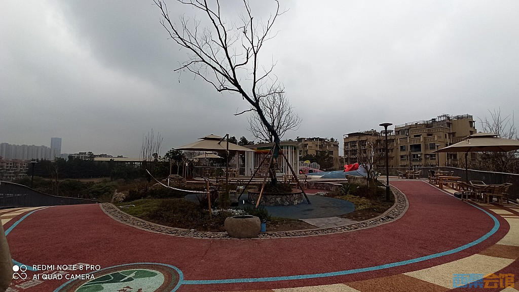 conew_1676521713714.jpg