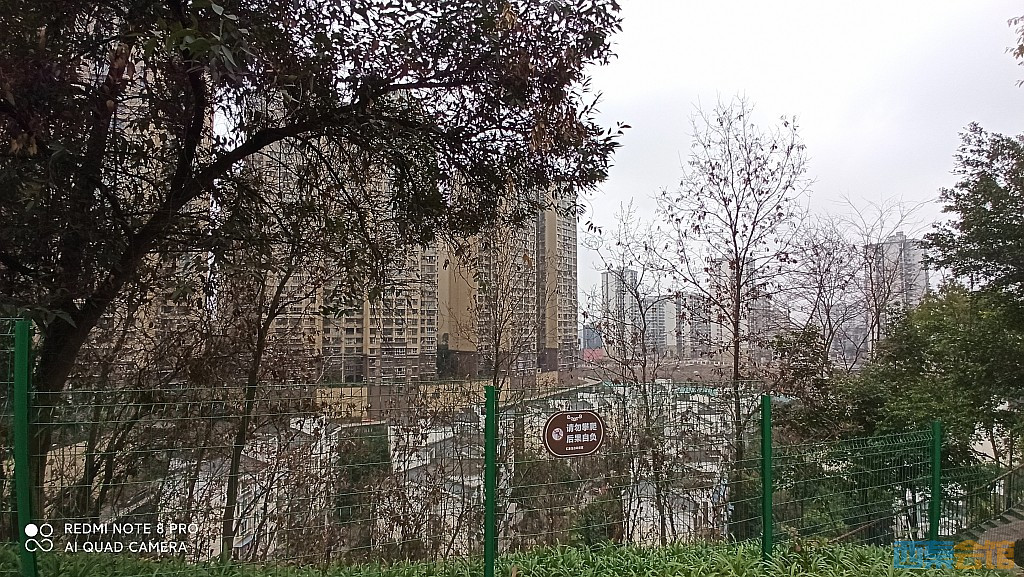 conew_1676521713505.jpg