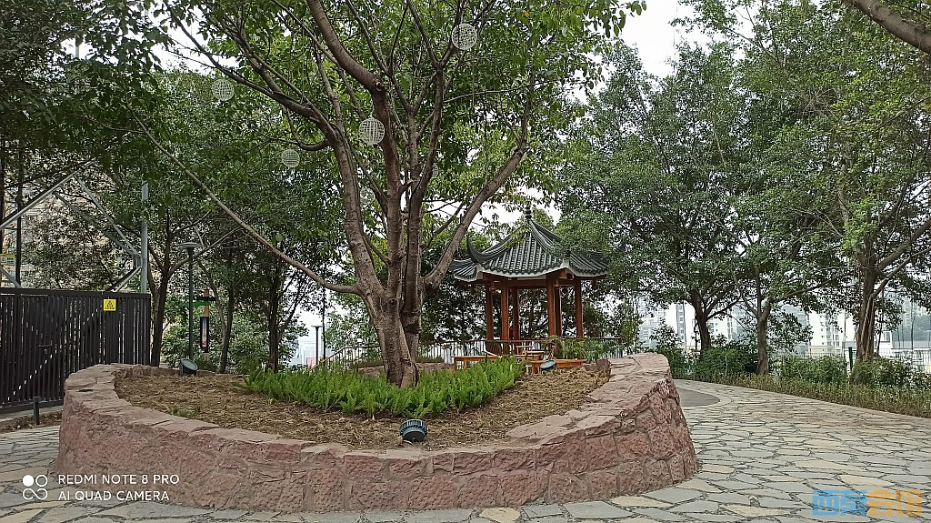 conew_1676521713271.jpg