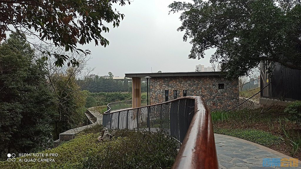 conew_1676521713284.jpg
