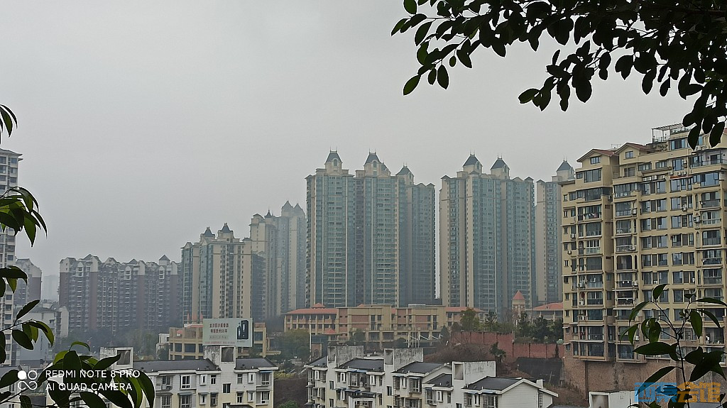 conew_1676521713355.jpg