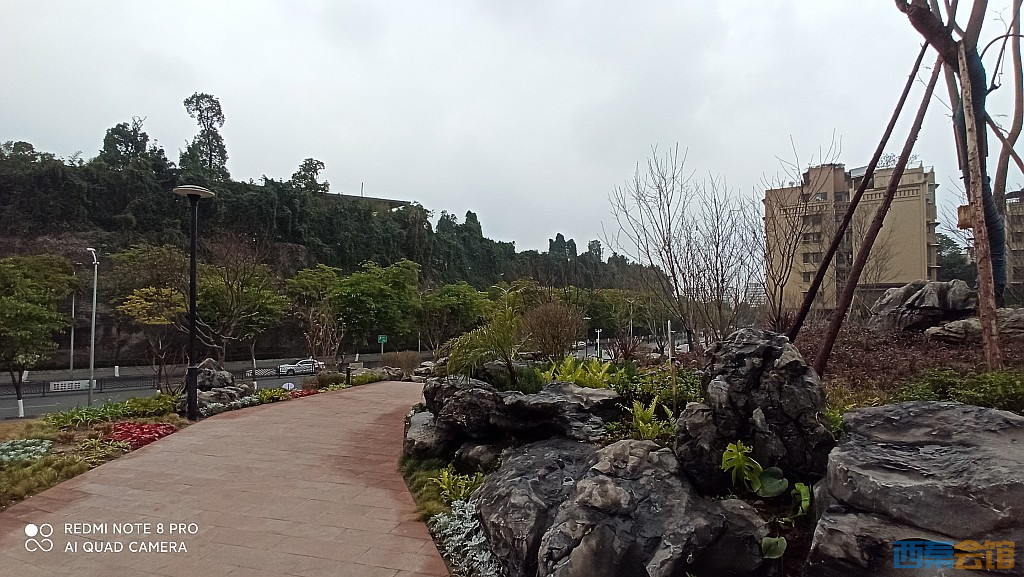 conew_1676521713128.jpg