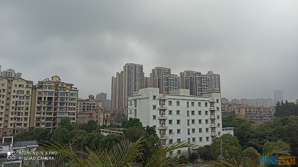 conew_1676521713226.jpg