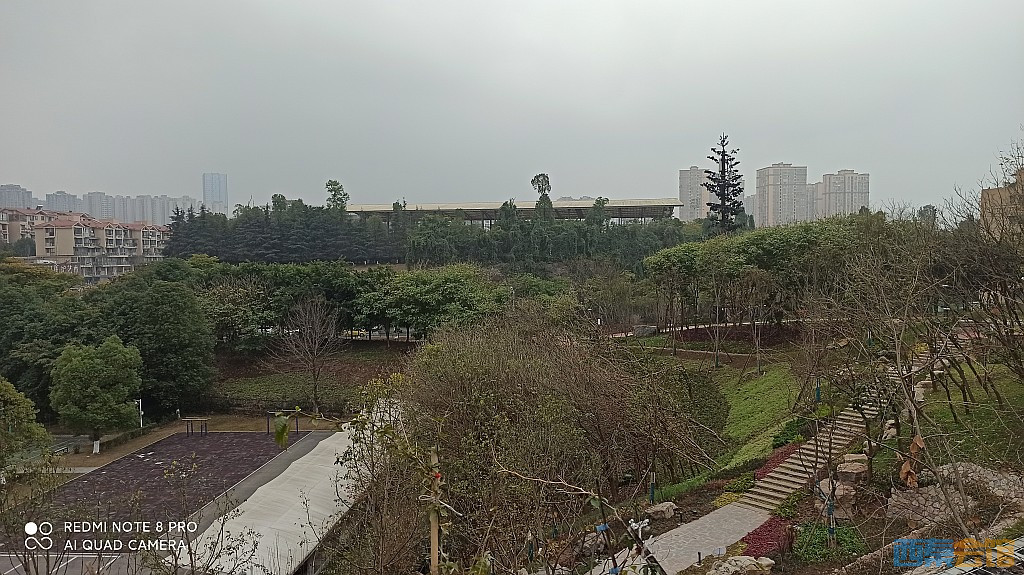 conew_1676521713195.jpg