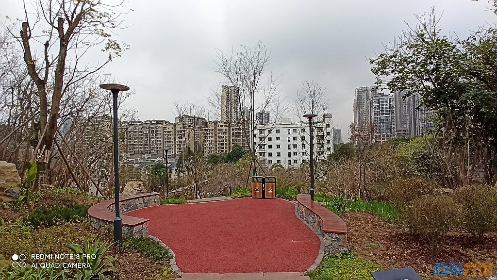 conew_1676521713164.jpg