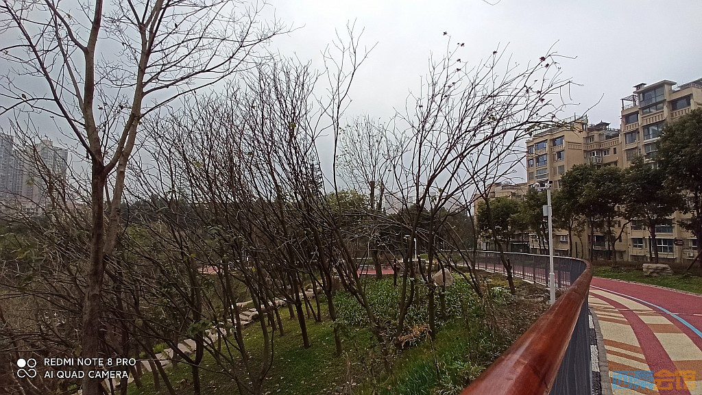 conew_1676521713184.jpg