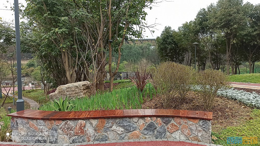 conew_1676521713792.jpg