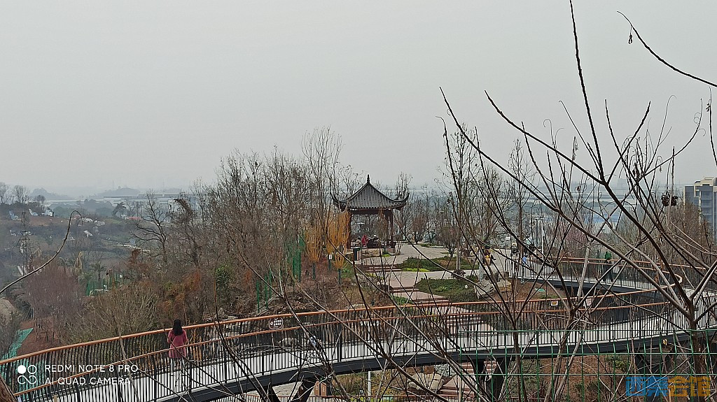 conew_1676628599450.jpg