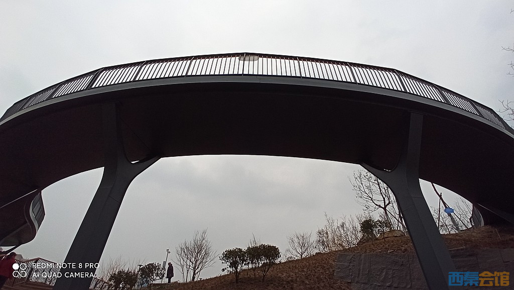 conew_1676628599308.jpg