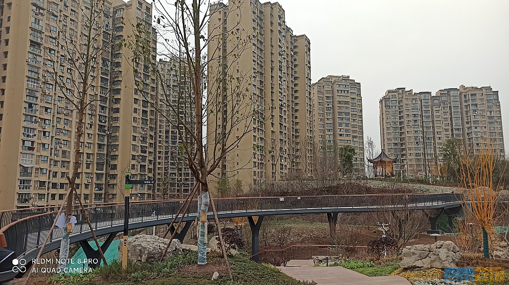 conew_1676628599344.jpg