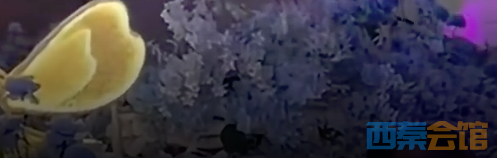 ΢�Ž�ͼ_20230218111356.png